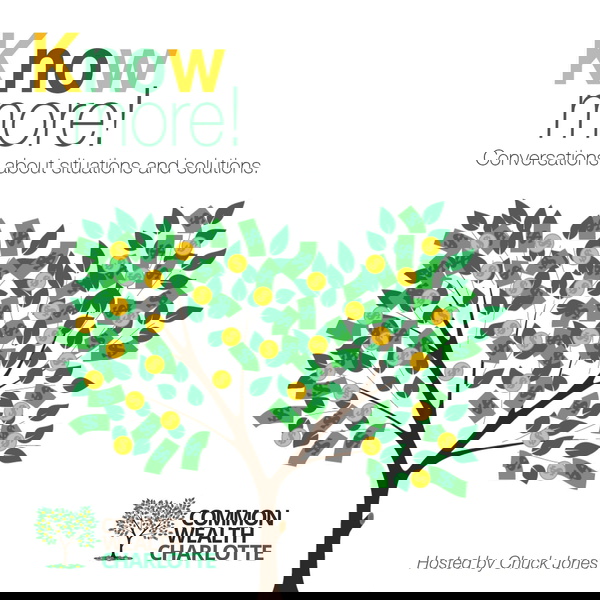 Artwork for KNOWMORE!