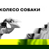 Колесо Собаки | Подкаст о фотографии