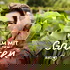 Komm mit in den Garten - Der MDR Garten-Podcast