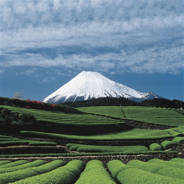 Artwork for Konichiwa – der Japan Podcast mit Sven Meyer und Andy Janz