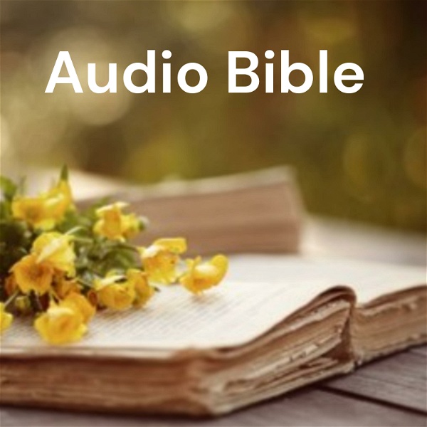 Artwork for Audio Bible １章５分（口語訳聖書）