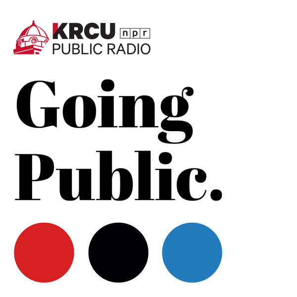 Artwork for Going Public