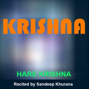 Artwork for Krishna Hare Krishna