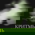 КритМышь