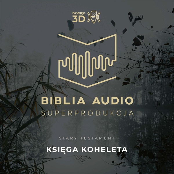 Artwork for Księga Koheleta. Biblia Audio Superprodukcja