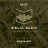 Księga Rut. Biblia Audio Superprodukcja - w dźwięku 3D.