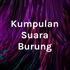 Kumpulan Suara Burung Mp3