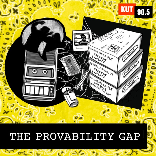 Artwork for The Provability Gap