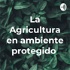La Agricultura en ambiente protegido