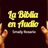 La Biblia en Audio