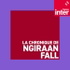 La chronique de Ngiraan Fall