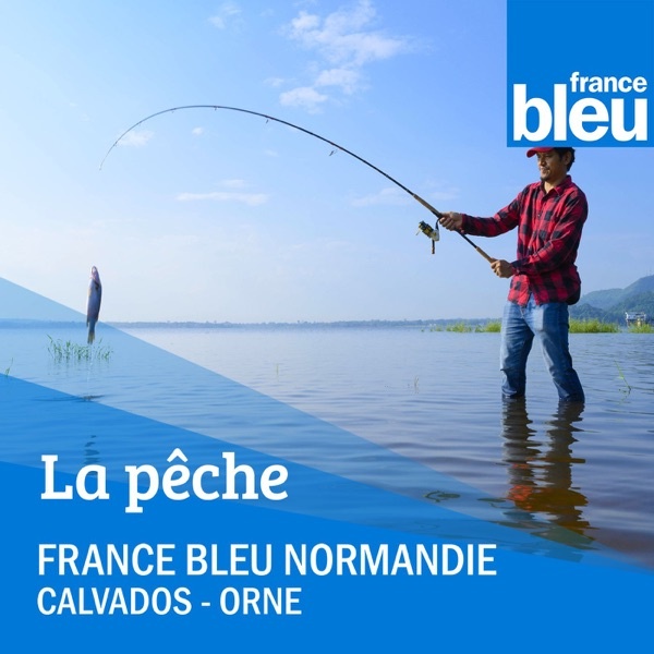 Artwork for La chronique pêche FB Normandie
