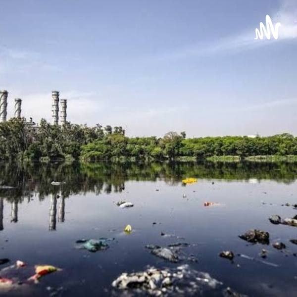 Artwork for La Contaminación Ambiental