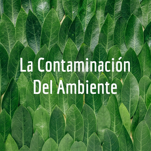 Artwork for La Contaminación Del Ambiente