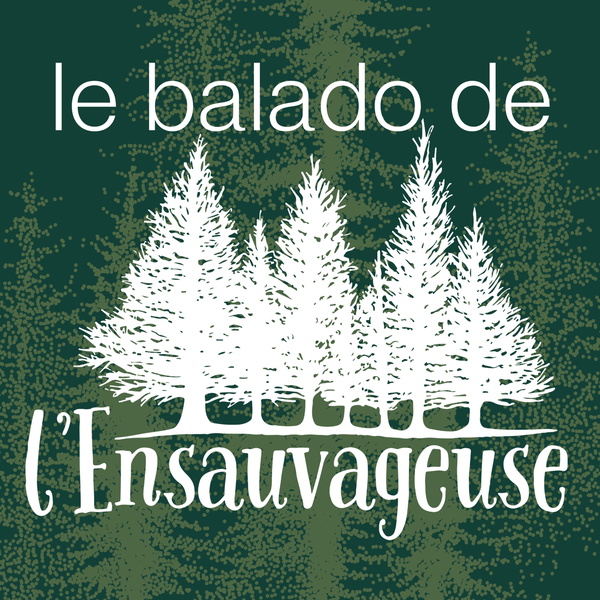 Artwork for Le balado de L'Ensauvageuse