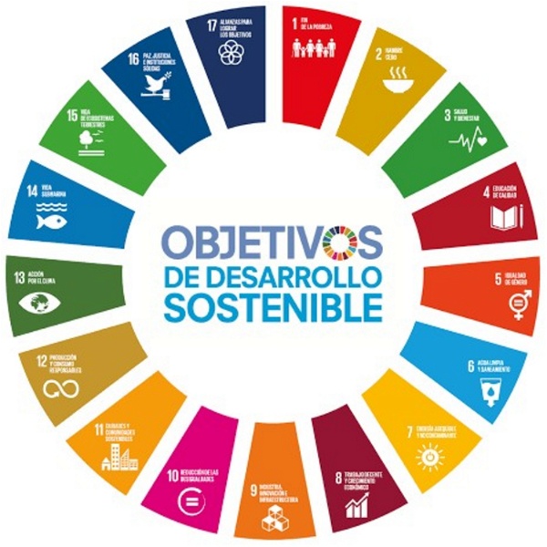 Artwork for Los Objetivos De Desarrollo Sostenible