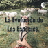 La Evolución de Las Especies.