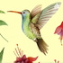LA LEYENDA DEL COLIBRÍ MAYA