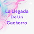 La Llegada De Un Cachorro