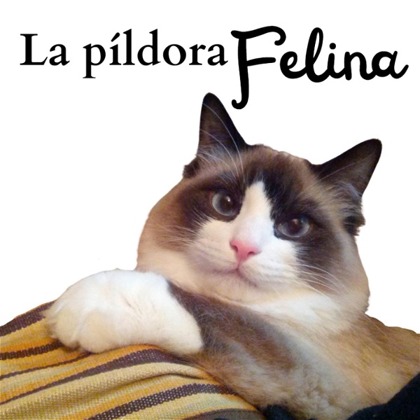 Artwork for La Píldora Felina