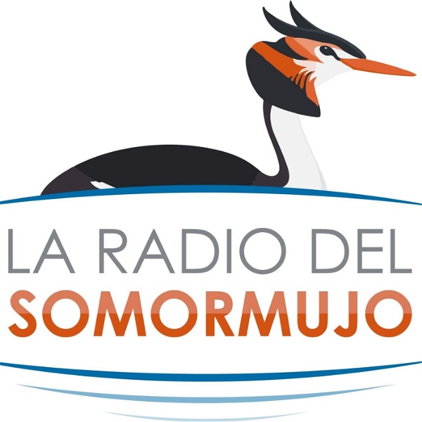 Artwork for La Radio del Somormujo
