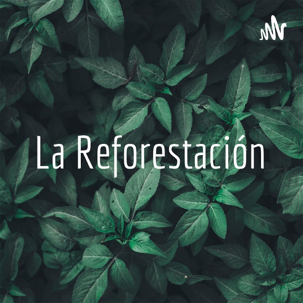 Artwork for La Reforestación
