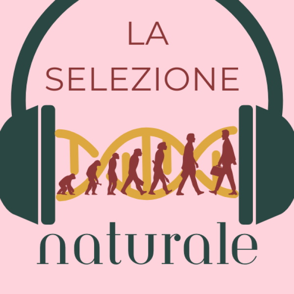 Artwork for La Selezione Naturale