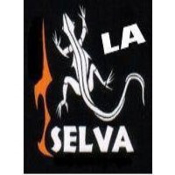 Artwork for LA SELVA FM
