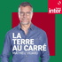 La Terre au carré