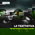 La Trattativa