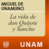 La vida de don Quijote y Sancho