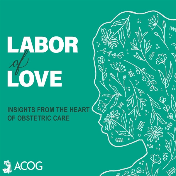Artwork for Labor of Love: Insights from the Heart of Obstetric Care