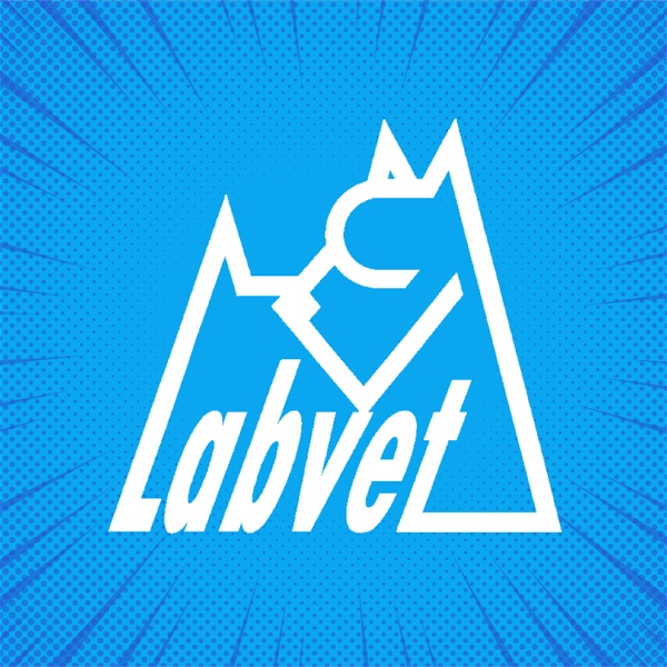 Artwork for LABVET PODCAST, pro pejskaře a jejich psy, chovatelské stanice, kynologické kluby