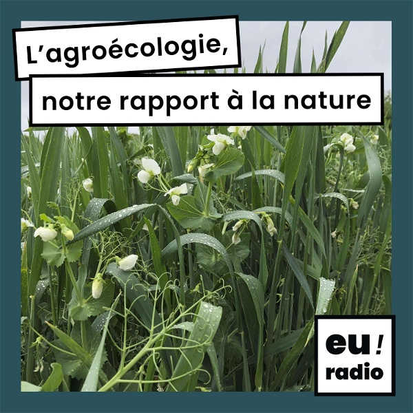 Artwork for L'agroécologie, notre rapport à la nature