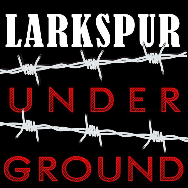 Artwork for Larkspur Underground