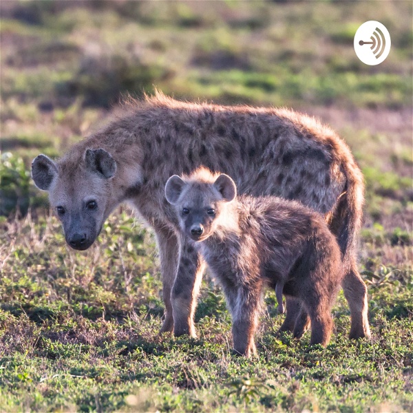 Artwork for Las hienas, animales extraordinarios