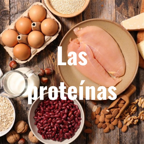 Artwork for Las proteínas