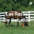 Las Razas De Caballos