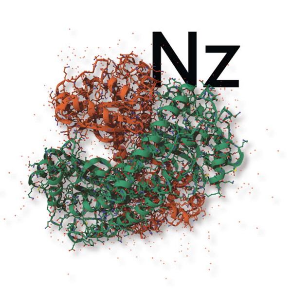 Artwork for Last Week at nzyme