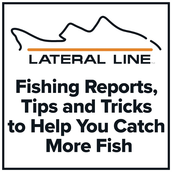 Artwork for Fishing Reports by Lateral Line Fishing Journal