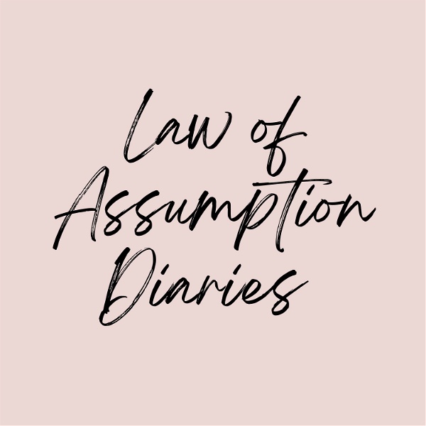 Artwork for Law of Assumption Diaries