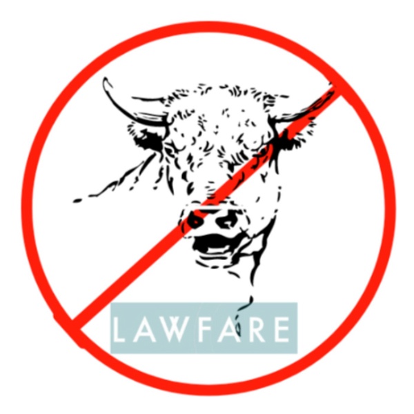 Artwork for Lawfare No Bull
