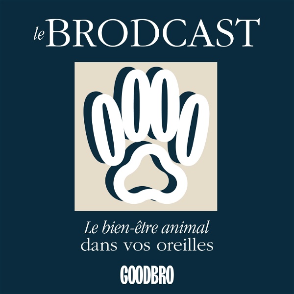 Artwork for Le Brodcast