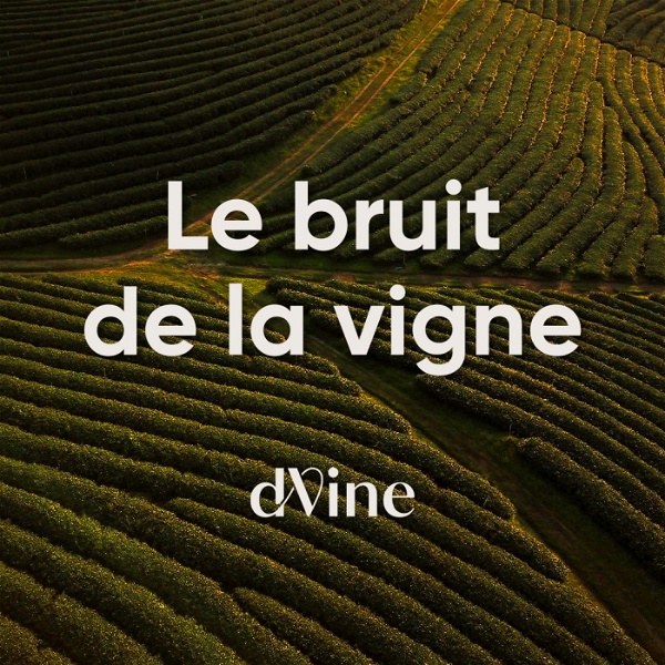 Artwork for Le Bruit de la Vigne