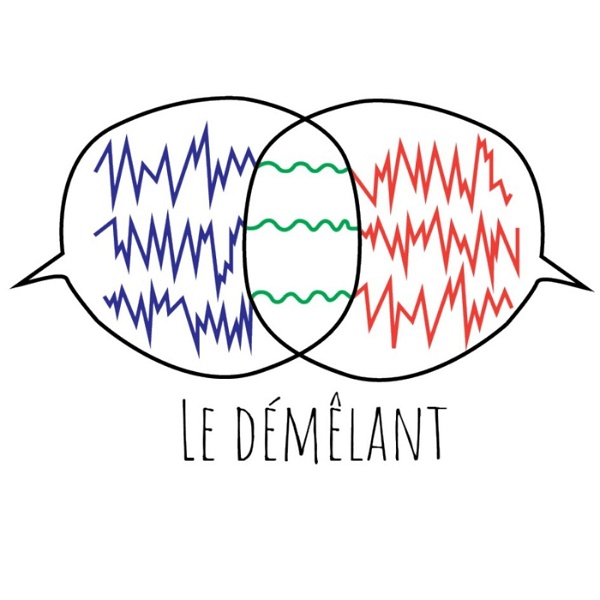 Artwork for Le Démêlant