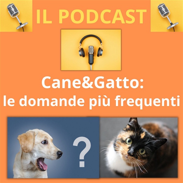 Artwork for Cane&gatto: le domande più frequenti
