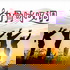 肋骨咏叹调