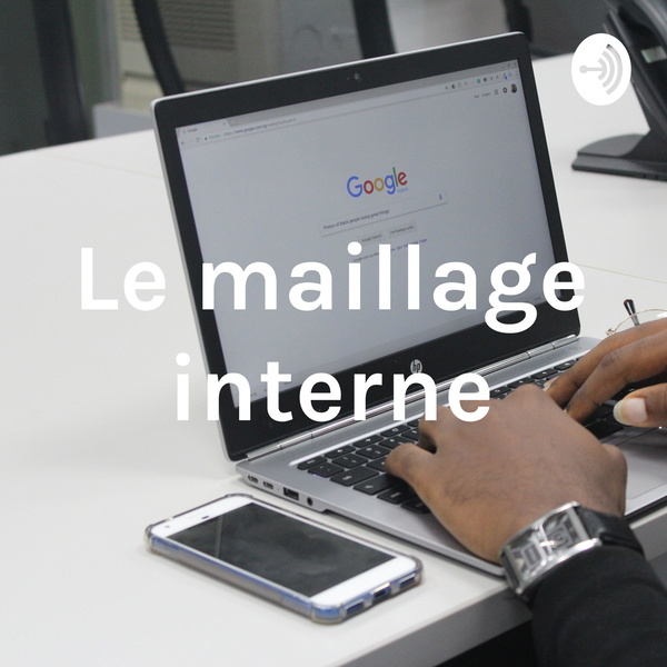 Artwork for Le maillage interne et la structure en silo