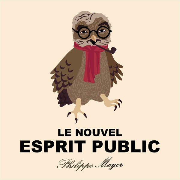 Artwork for Le Nouvel Esprit Public