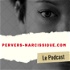Le Pervers Narcissique par Pascal Couderc, psychanalyste et psychologue clinicien, expert reconnu depuis plus de 30 ans plus